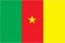 Drapeau Cameroun